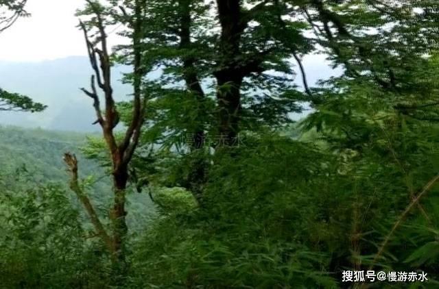 探秘网贷逾期对信用卡后期的正常使用影响大不大?,解决你的疑惑